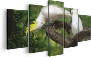 Artaza Canvas Schilderij Vijfluik Twee Witte Kaketoes in de Bomen - 100x50 - Foto Op Canvas - Canvas Print