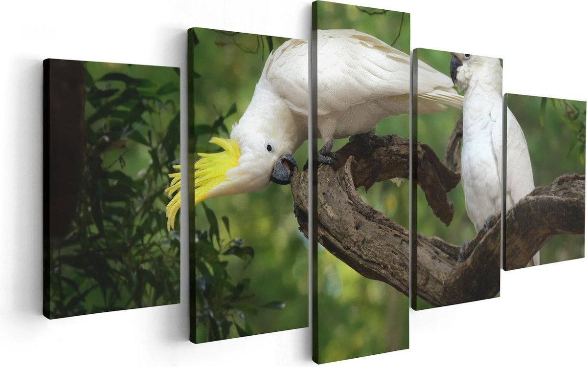 Artaza Canvas Schilderij Vijfluik Twee Witte Kaketoes in de Bomen - 100x50 - Foto Op Canvas - Canvas Print