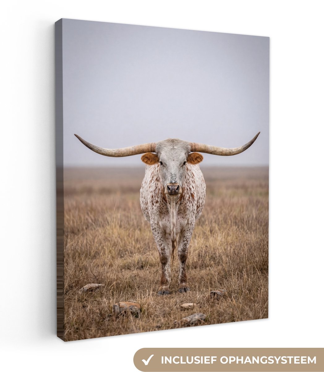 Canvas schilderij 120x160 cm - Wanddecoratie Longhorn - Grasveld - Dier - Muurdecoratie woonkamer - Slaapkamer decoratie - Kamer accessoires - Schilderijen op canvas