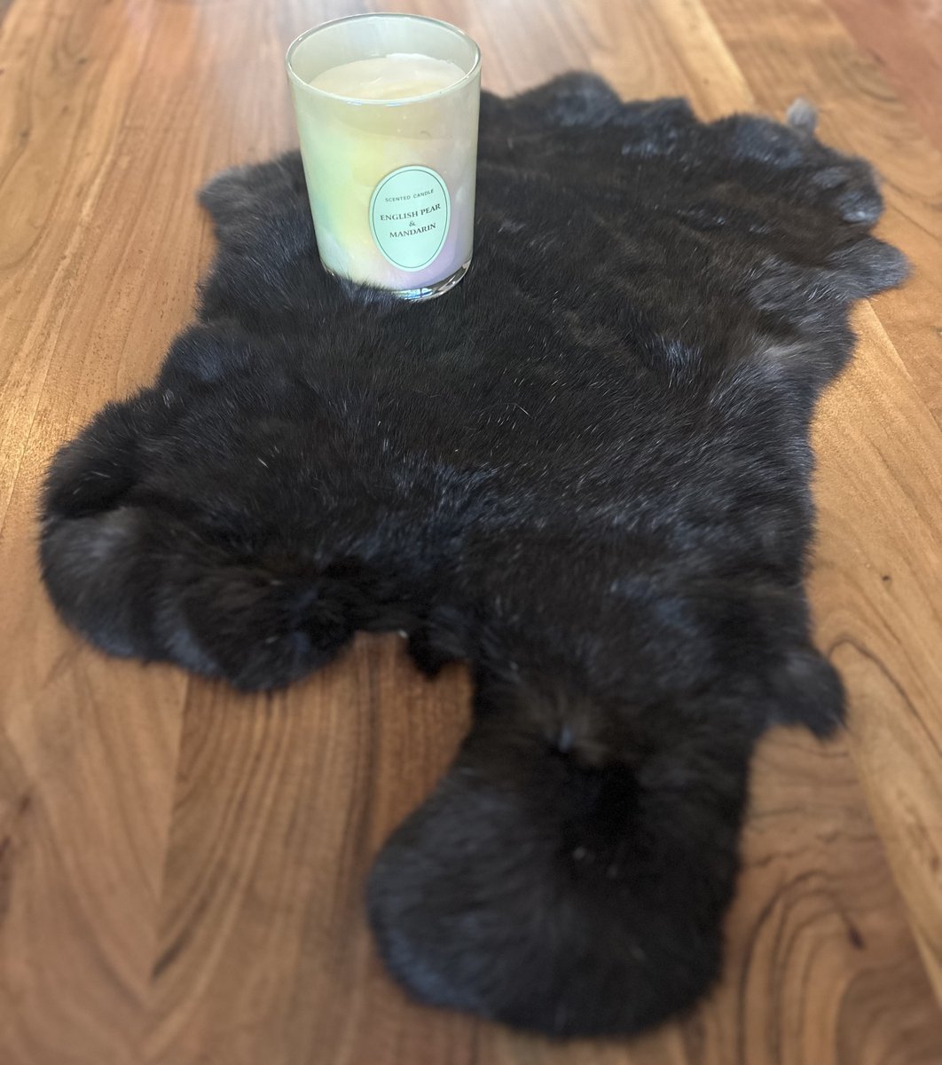 EXTRA GROOT zwarte konijnenvacht - XL vacht konijnenvel zwart - velletje tafel - dierenhuid dierenvel salontafel - vachtje interieur - decoratie tafel