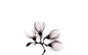 Goossens Schilderij Art Of Nature Flower, 74 x 74 cm