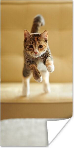 Poster Kat - Spring - Stoel - 40x80 cm