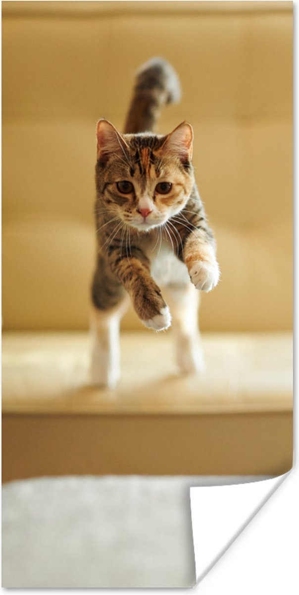Poster Kat - Spring - Stoel - 40x80 cm