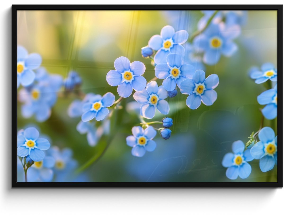 Poster in lijst - Fotolijst 120x80 cm - Posters - Bloemetjes - Blauw - Vergeet mij nietjes - Posterlijst zwart - Decoratie - Wanddecoratie woonkamer - Muurdecoratie slaapkamer