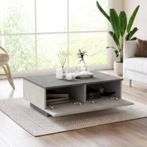 Salontafel met Opbergruimte - Tijdschriftenstandaard Woonkamer - Woonkamer Meubel - Multifunctioneel Tafelblad - 90x60x32 cm - Zilver Antraciet