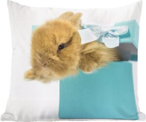 Sierkussens - Kussentjes Woonkamer - 60x60 cm - Konijn - Pastel - Blauw