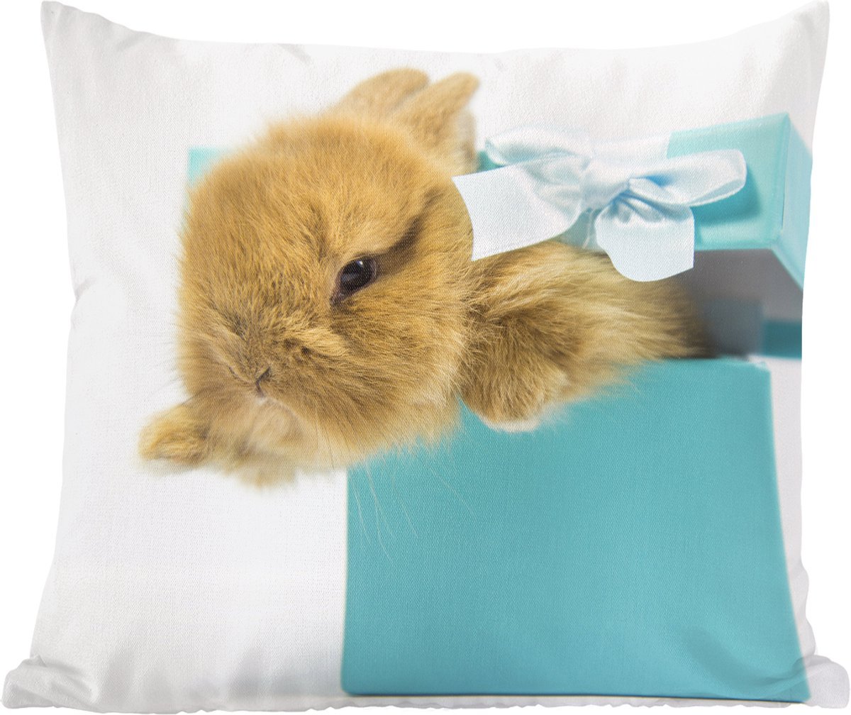 Sierkussens - Kussentjes Woonkamer - 60x60 cm - Konijn - Pastel - Blauw