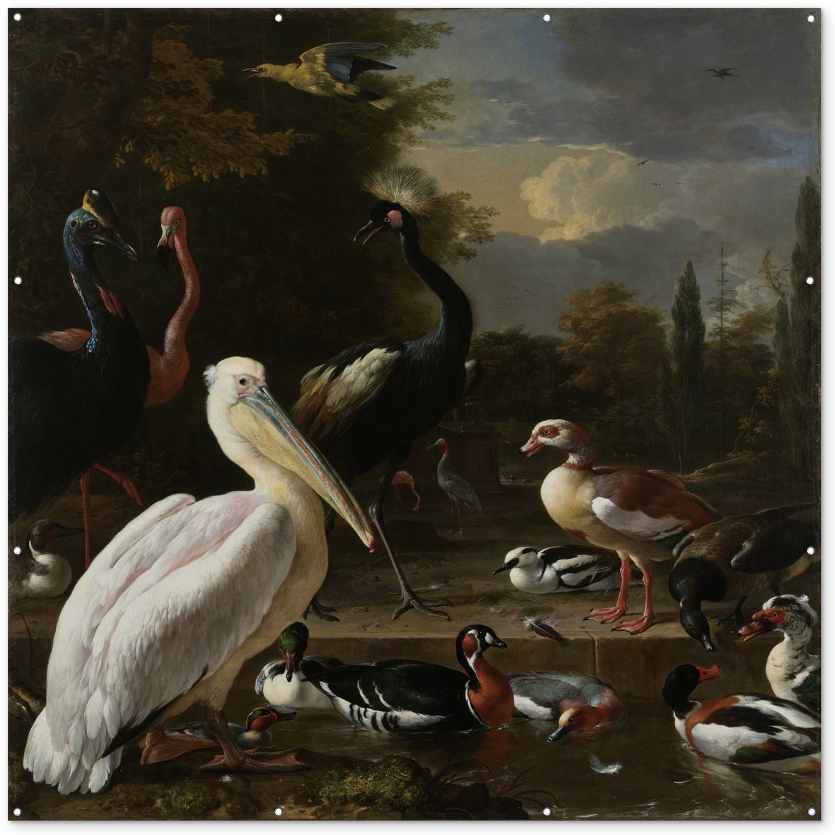 Tuin poster Een pelikaan en ander gevogelte bij een waterbassin - Schilderij van Melchior d'Hondecoeter - 200x200 cm - Tuindoek - Buitenposter