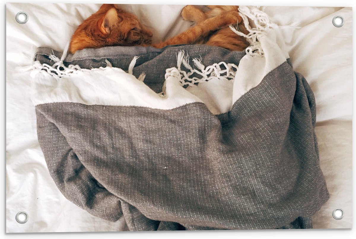 Tuinposter - Rode Kat onder Deken op Bed - 60x40 cm Foto op Tuinposter (wanddecoratie voor buiten en binnen)