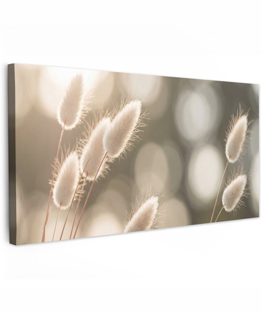 Tuinschilderij voor buiten 200x100 cm - Tuindecoratie Hazestaartgras - Wit - Zonlicht - Tuinposter op canvas - Tuin muurdecoratie - Buitenschilderij decoratie - Schutting wanddecoratie - Buitencanvas