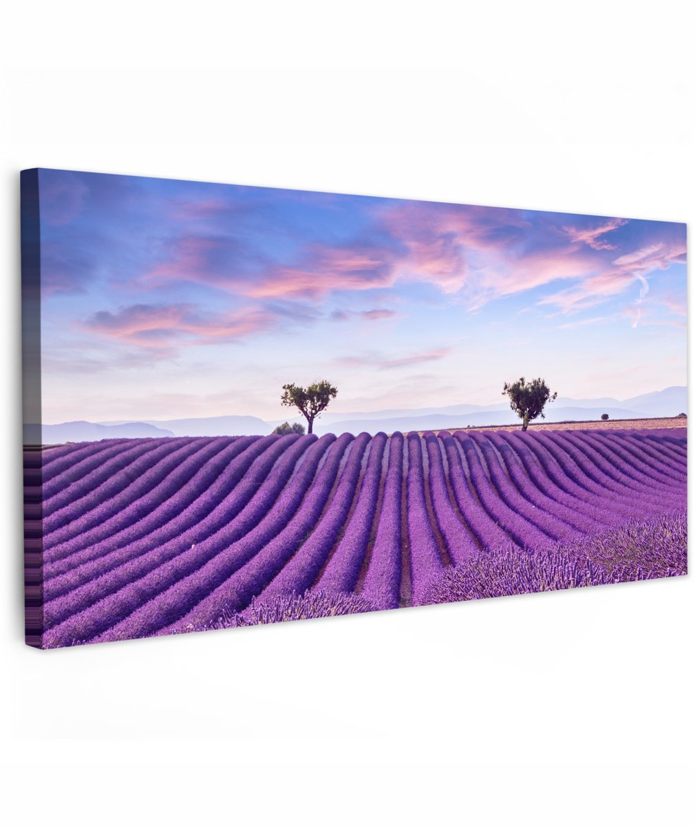 Tuinschilderij voor buiten 200x100 cm - Tuindecoratie Lavendel - Natuur - Paars - Bomen - Bloemen - Tuinposter op canvas - Tuin muurdecoratie - Buitenschilderij decoratie - Schutting wanddecoratie - Buitencanvas