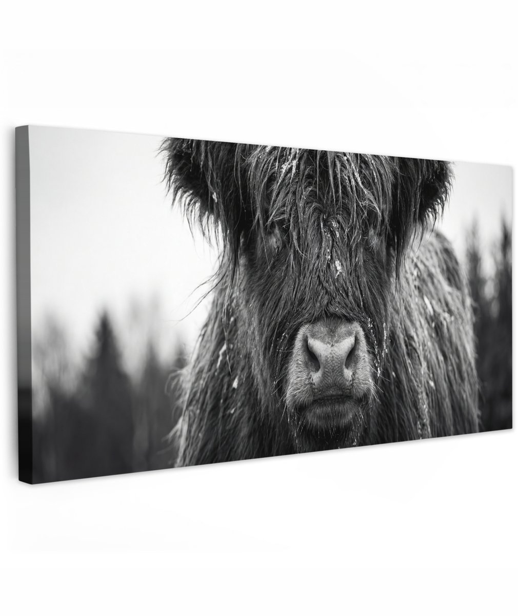 Tuinschilderij voor buiten 200x100 cm - Tuindecoratie Schotse hooglander - Zwart - Wit - Sneeuwvlokken - Tuinposter op canvas - Tuin muurdecoratie - Buitenschilderij decoratie - Schutting wanddecoratie - Buitencanvas