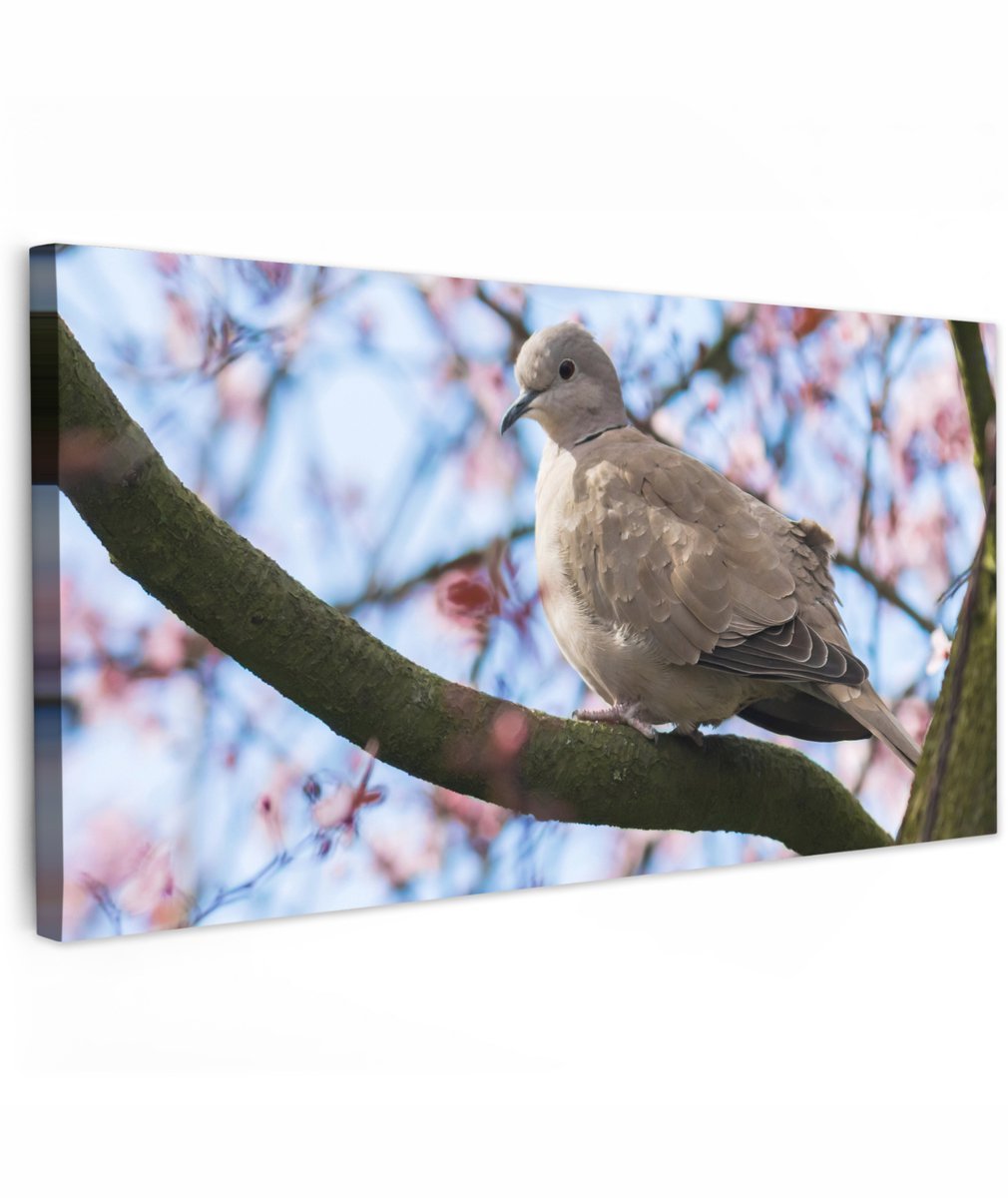 Tuinschilderij voor buiten 200x100 cm - Tuindecoratie Vogel - Bloemen - Duif - Bloesem takken - Roze - Tuinposter op canvas - Tuin muurdecoratie - Buitenschilderij decoratie - Schutting wanddecoratie - Buitencanvas