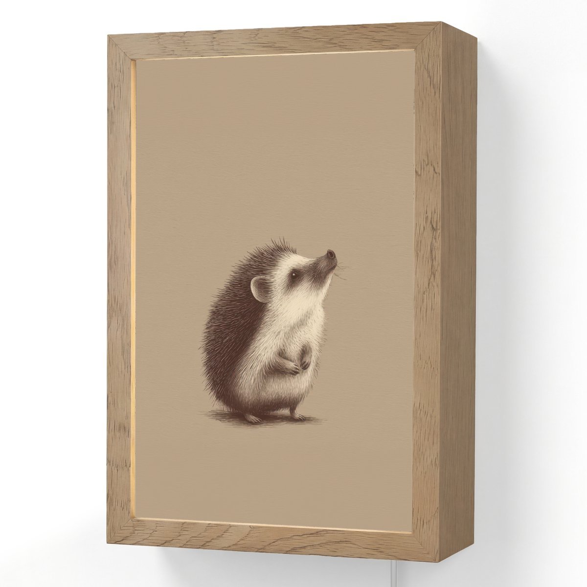 Wandlamp 20x30 cm - Oplaadbaar - Egel - Snuitje - Bruin - Stekels - Wandlampen binnen woonkamer - Slaapkamer lamp met kabel - Decoratieve nachtlamp - Vloerlamp snoer