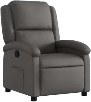 vidaXL - Fauteuil - echt - leer - grijs