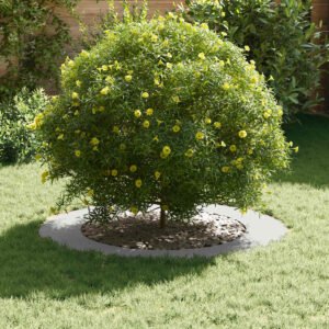 vidaXL geschikt voor platte boomringen 5 pcs Wit Ø60 / 90 cm Staal